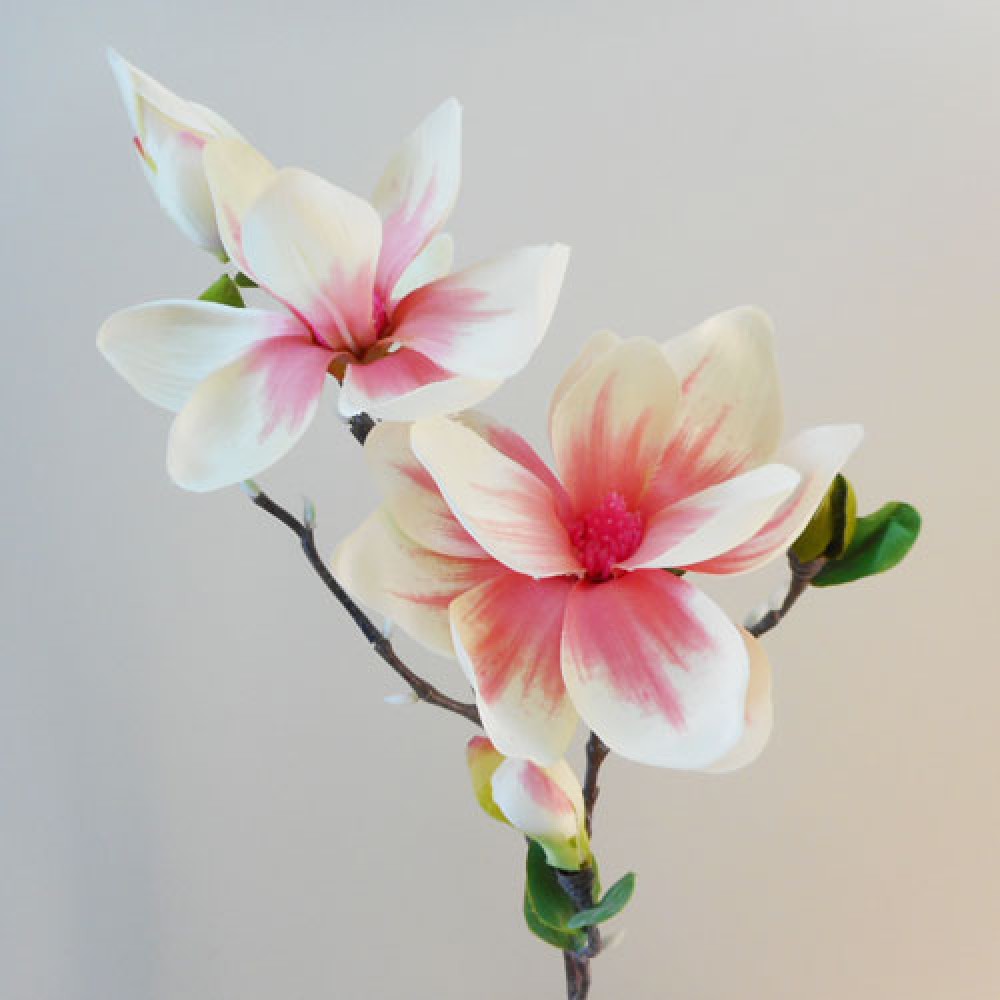 Artificial Magnolias Branch Pink and Cream 83cm Artificial Flowers